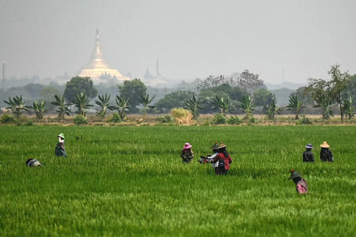 Southeast Asia’s U.S.-Iran War Food Crisis
