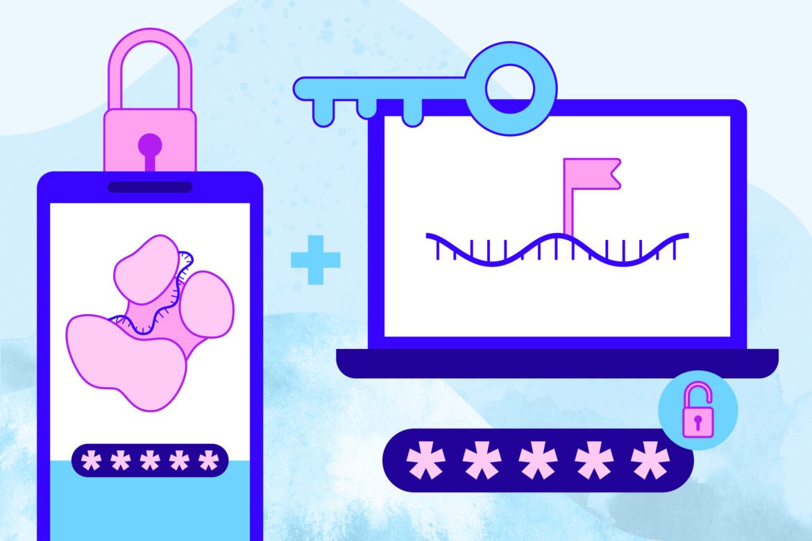Study reveals “two-factor authentication” system that controls microRNA destruction | MIT News