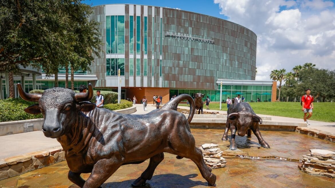 Suspicious package near USF’s Tampa campus was ‘non-threat,’ police say