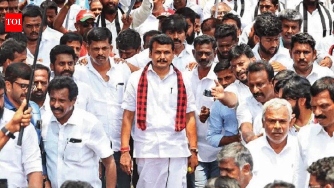 Tamil Nadu polls: DMK bets on Senthilbalaji to...