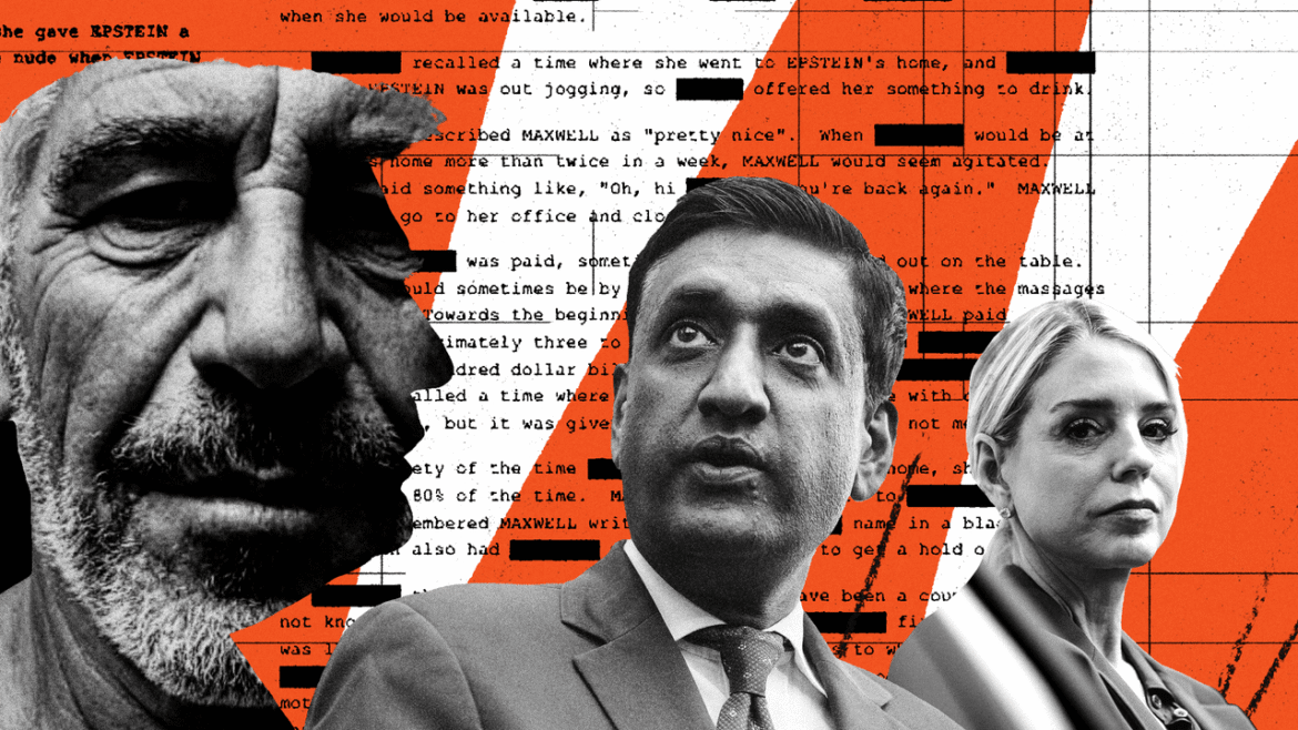 The Rise of the Epstein Democrat