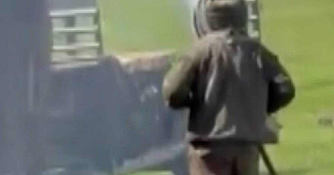 Truck carrying 1 million bees crashes in Tennessee