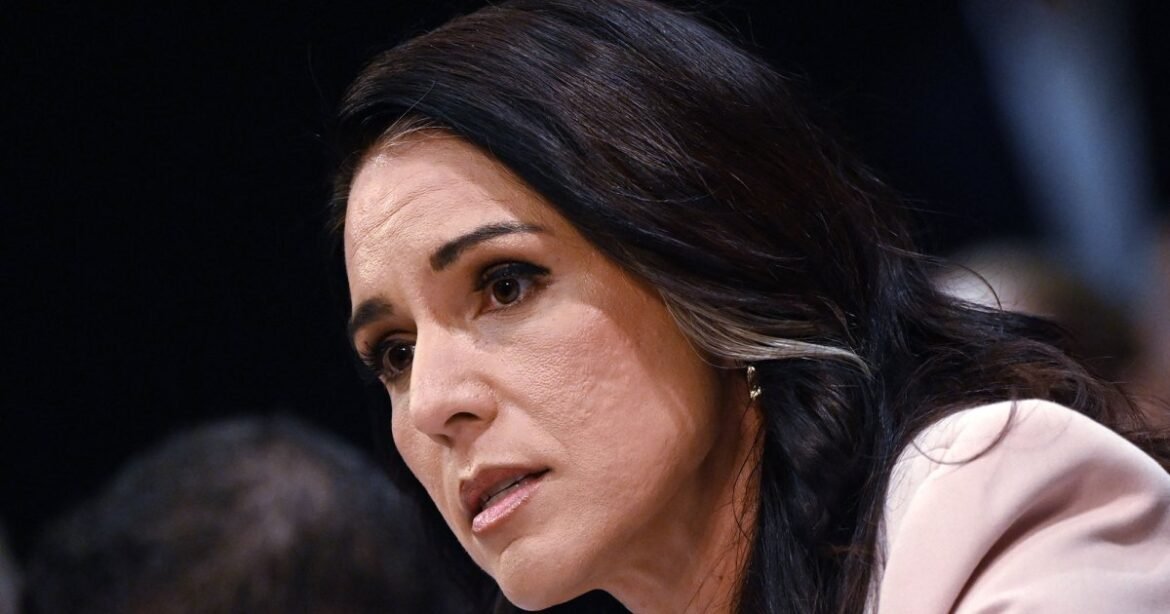 Tulsi Gabbard’s Dangerous War – Mother Jones