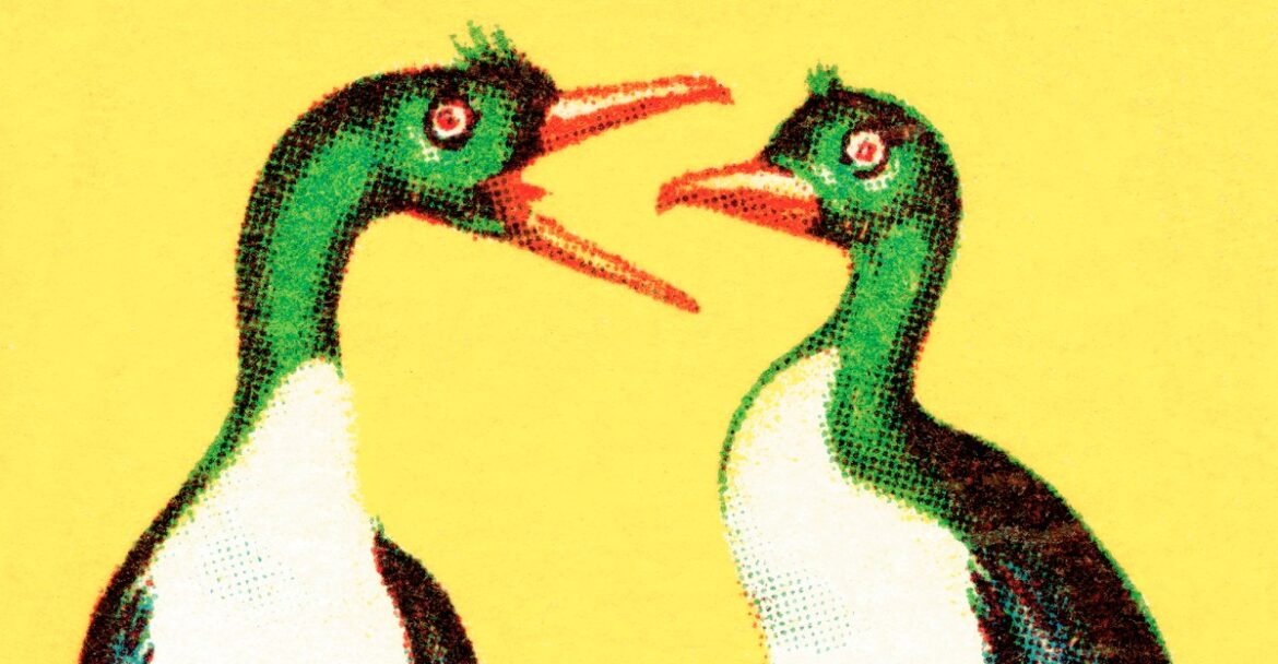 What to say to family members who want to argue about politics