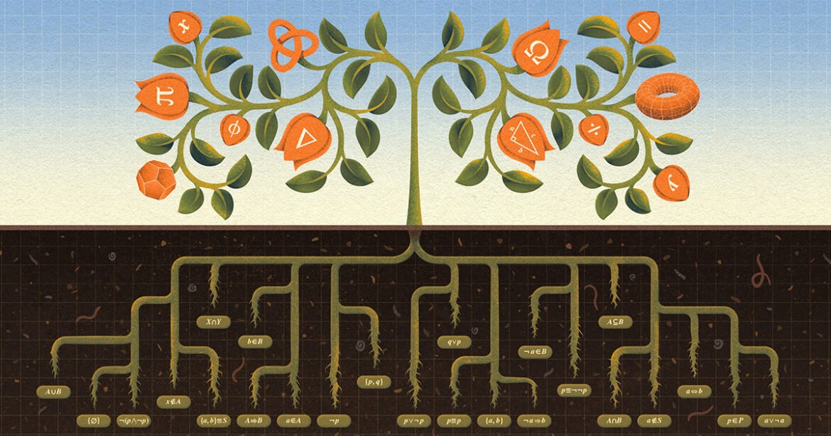 Why Math’s Final Axiom Proved So Controversial