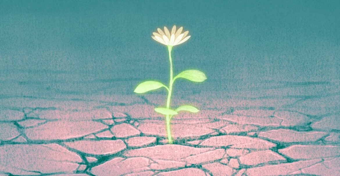 Why you should be hopeful