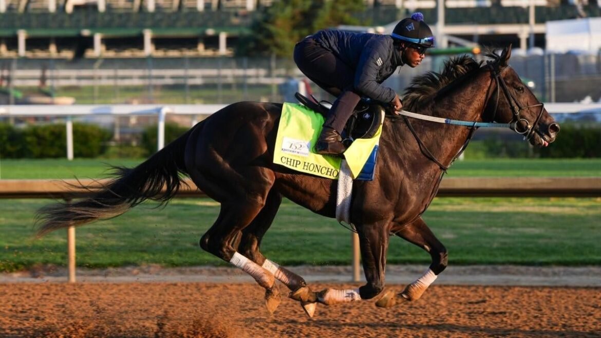 2026 Preakness Stakes predictions, horses, odds, posts, date: Surprising picks from elite horse racing expert