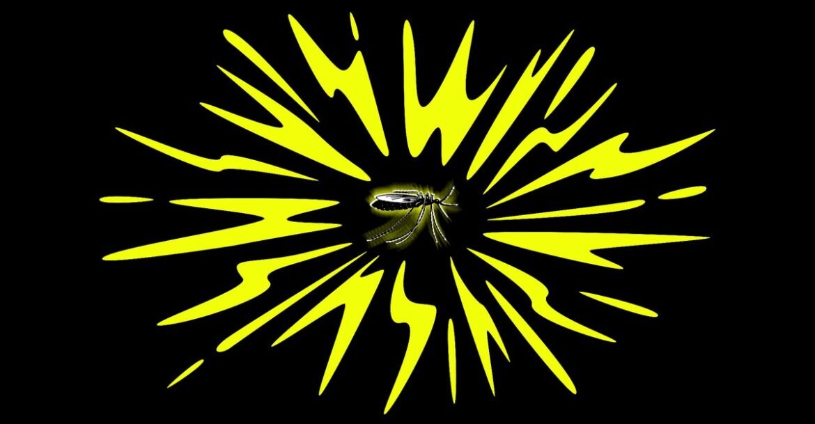 America Is Missing Out on the Ultimate Mosquito Weapon