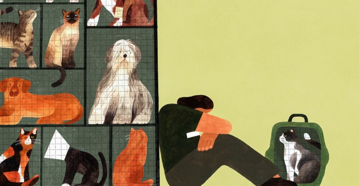 America’s pet overpopulation crisis is breaking animal shelter workers