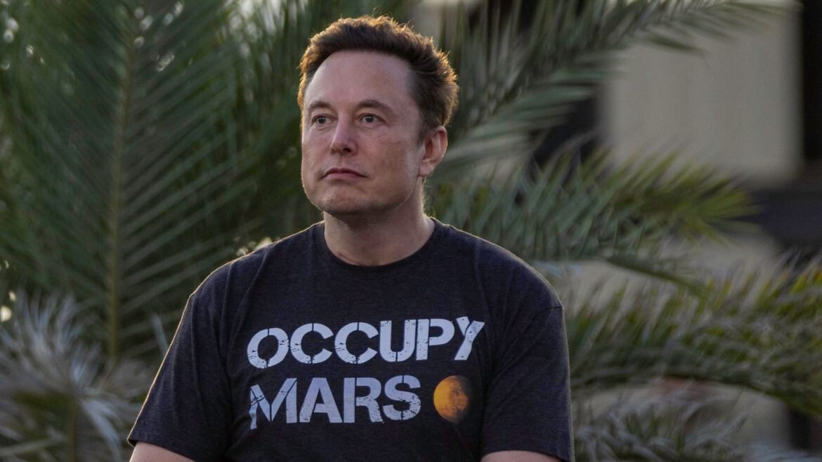 Analyst Warns Of ‘Elon Musk Effect’