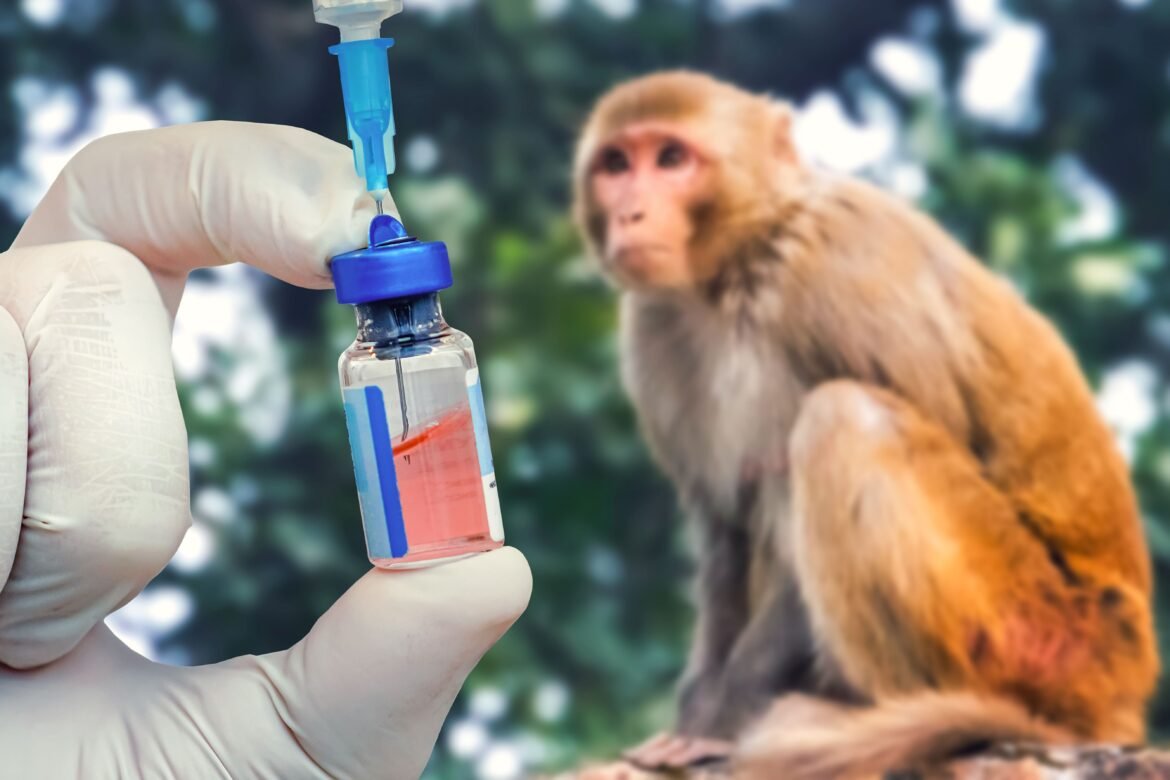Bipartisan PRIMATE Act would end non-human primate imports