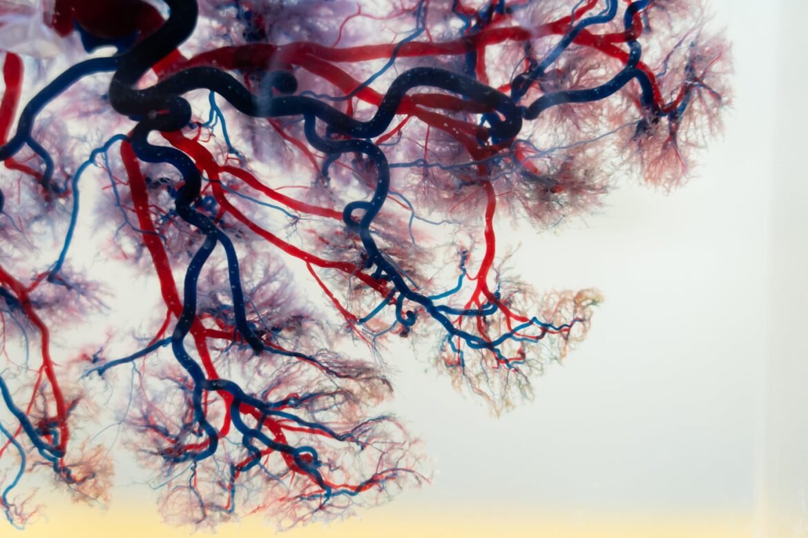 Blood-based approach could detect early heart, kidney disease, study finds