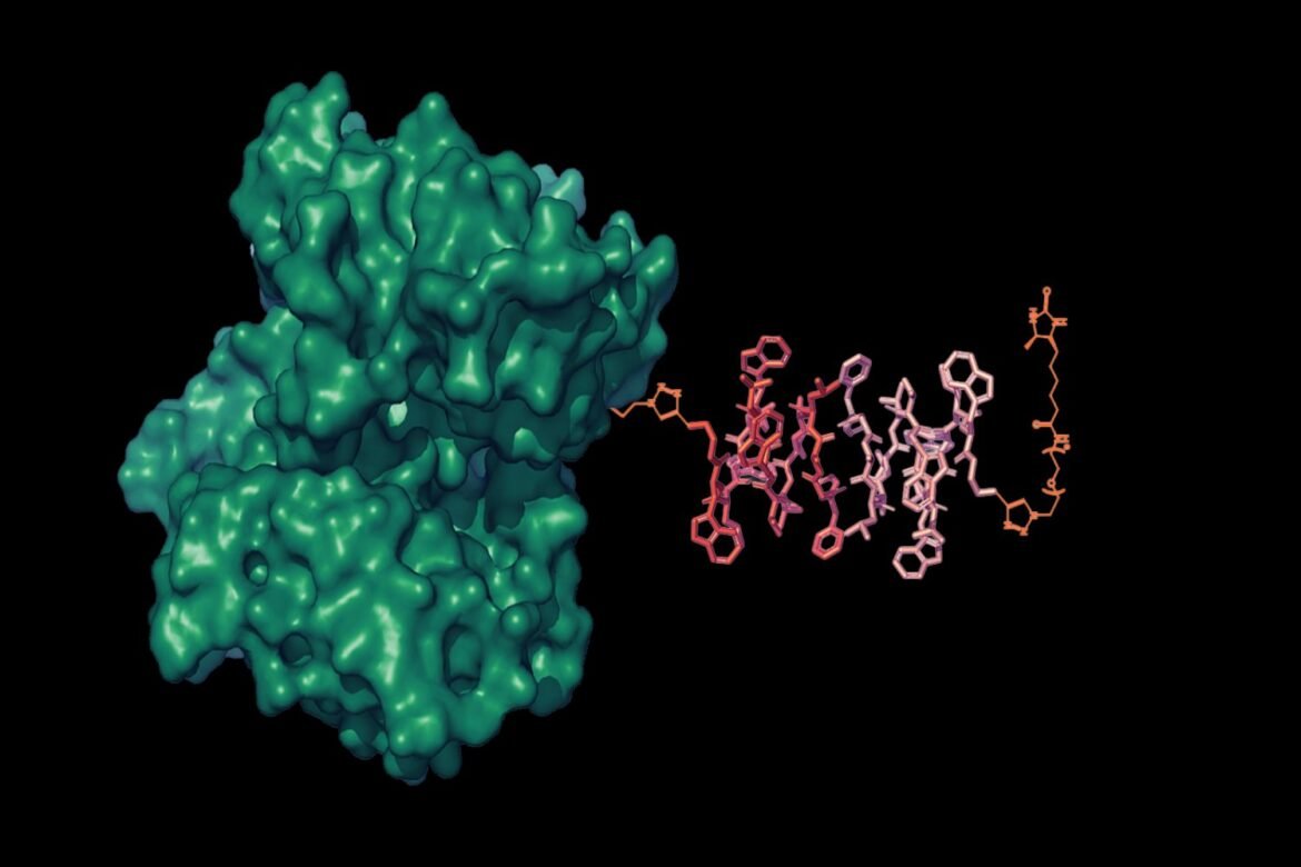 Brighter MRI signals | MIT News