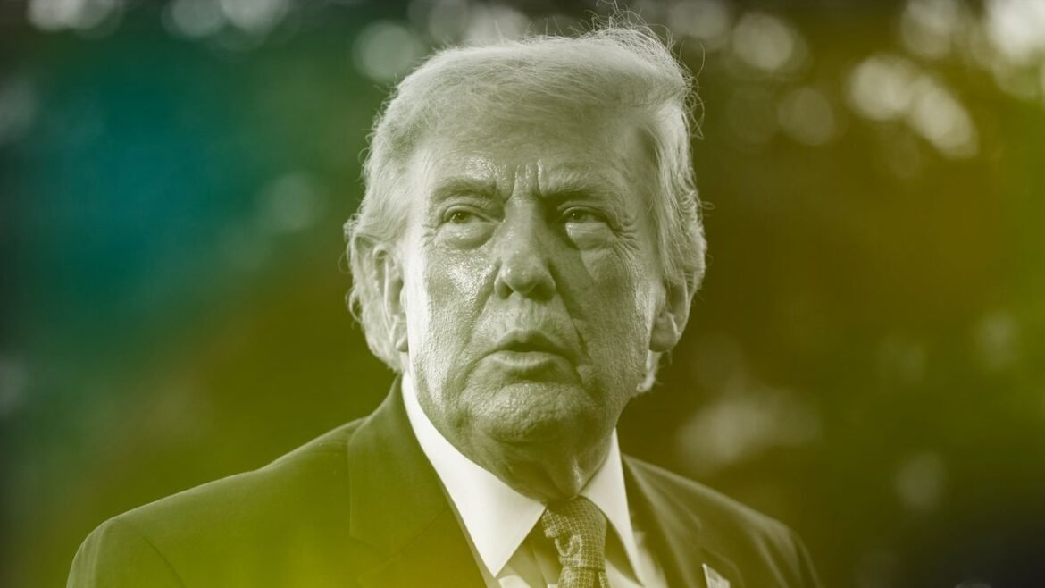 Can Anything Stop Donald Trump’s Corruption?
