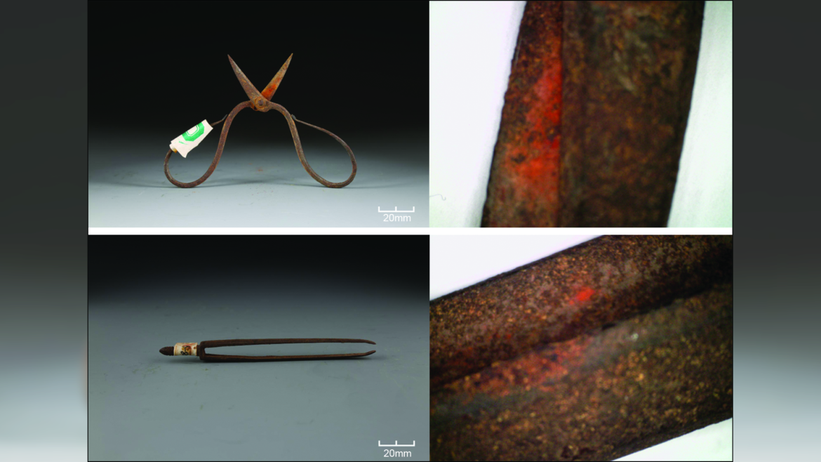 Chinese medical practitioners used extremely toxic plant as a topical anesthetic 600 years ago, study finds