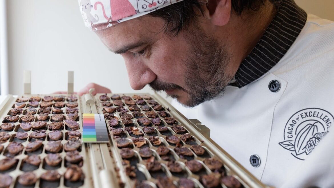 Chocolate now has standards for excellence, like wine and coffee : NPR