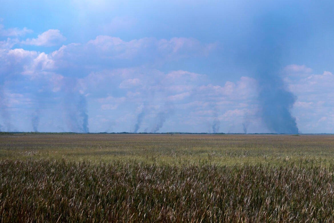 Florida Cabinet officers give warning as peak wildfire season is only beginning • Florida Phoenix