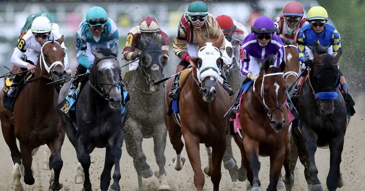 From The Sports Desk: Preakness preview