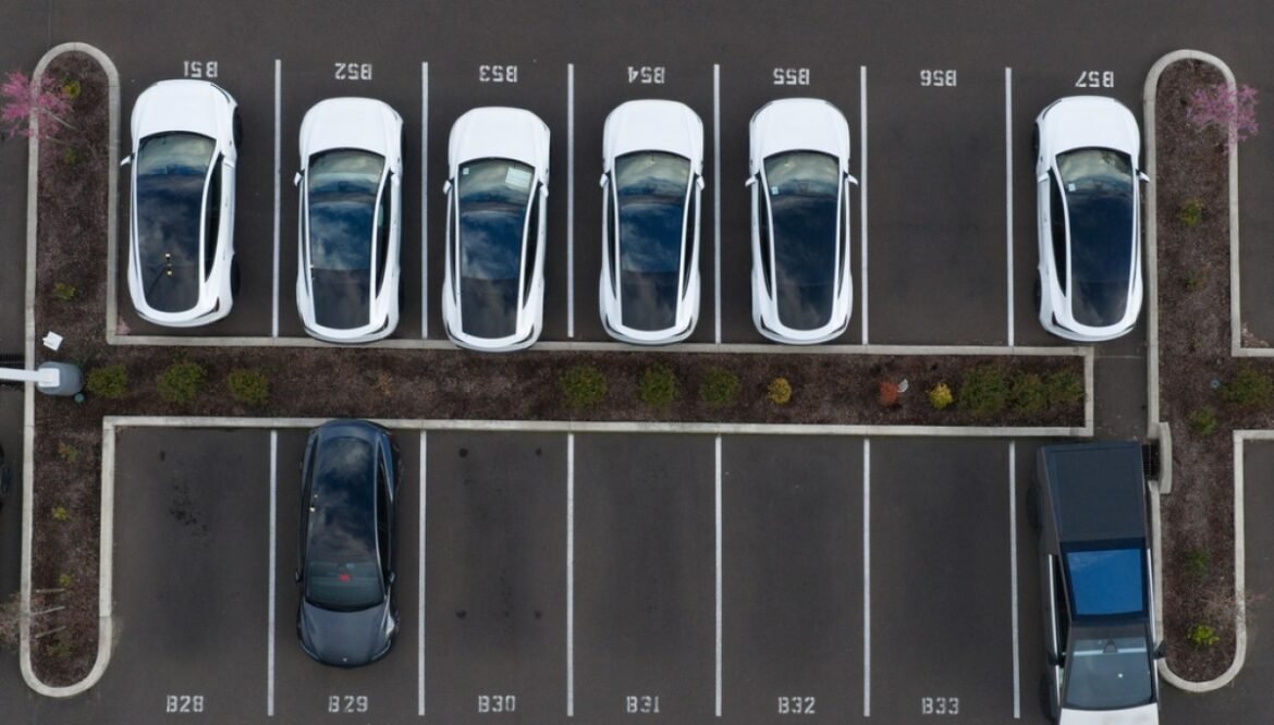 Global EV sales make up 30% of the market in 2026