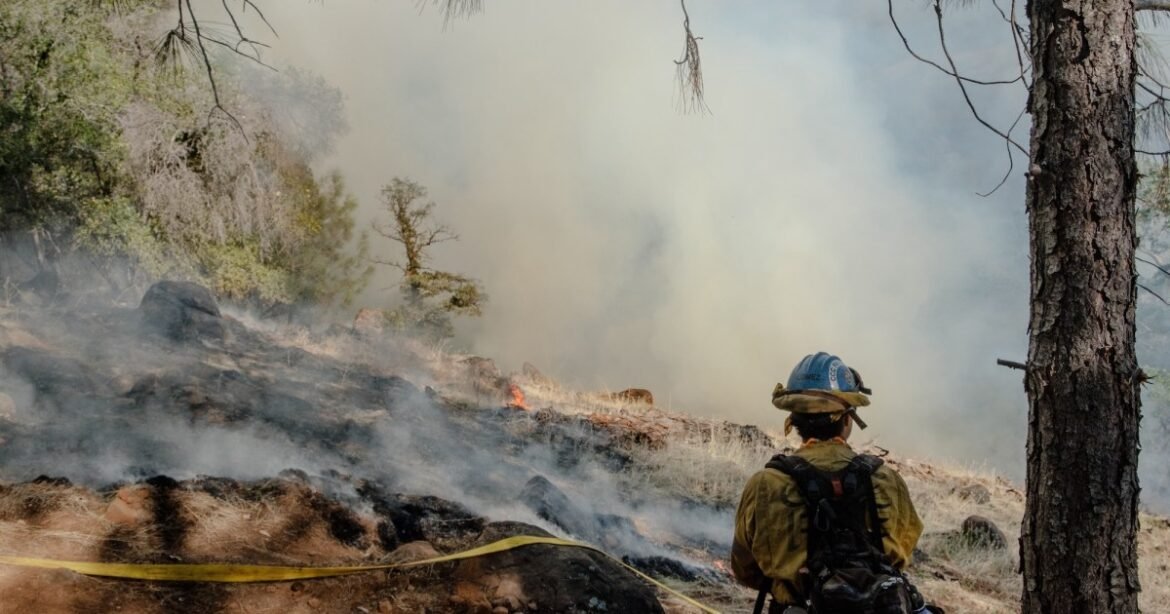 How Prescribed Burns Can Help Save Taxpayers Billions – Mother Jones