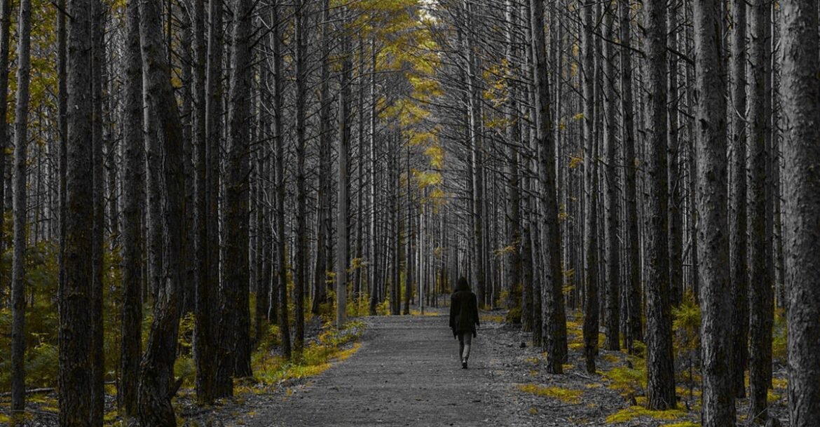 How to Find Focus When It’s Most Elusive