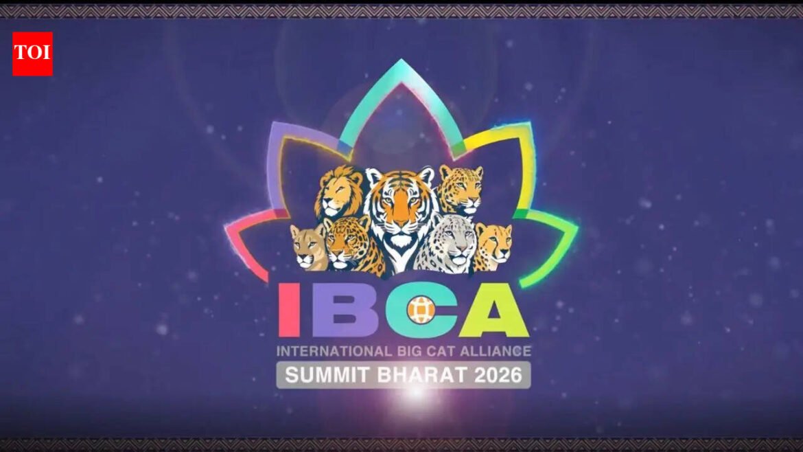 India Calls for Global Participation in Big Cat...