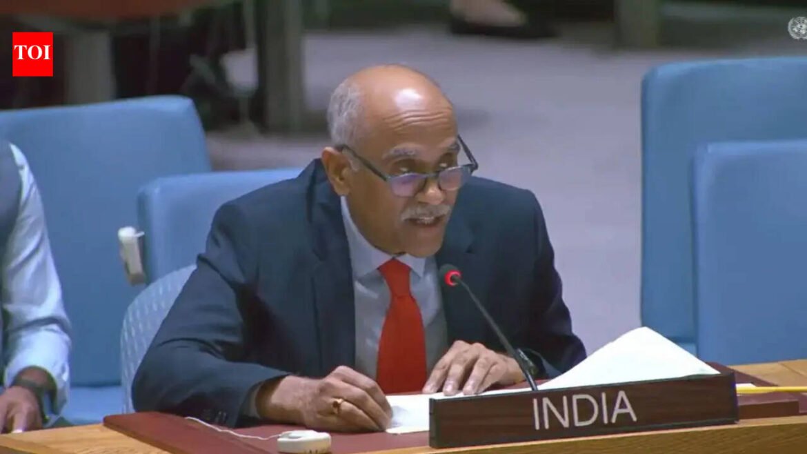 India rips into Pakistan over 'baseless' remarks a...