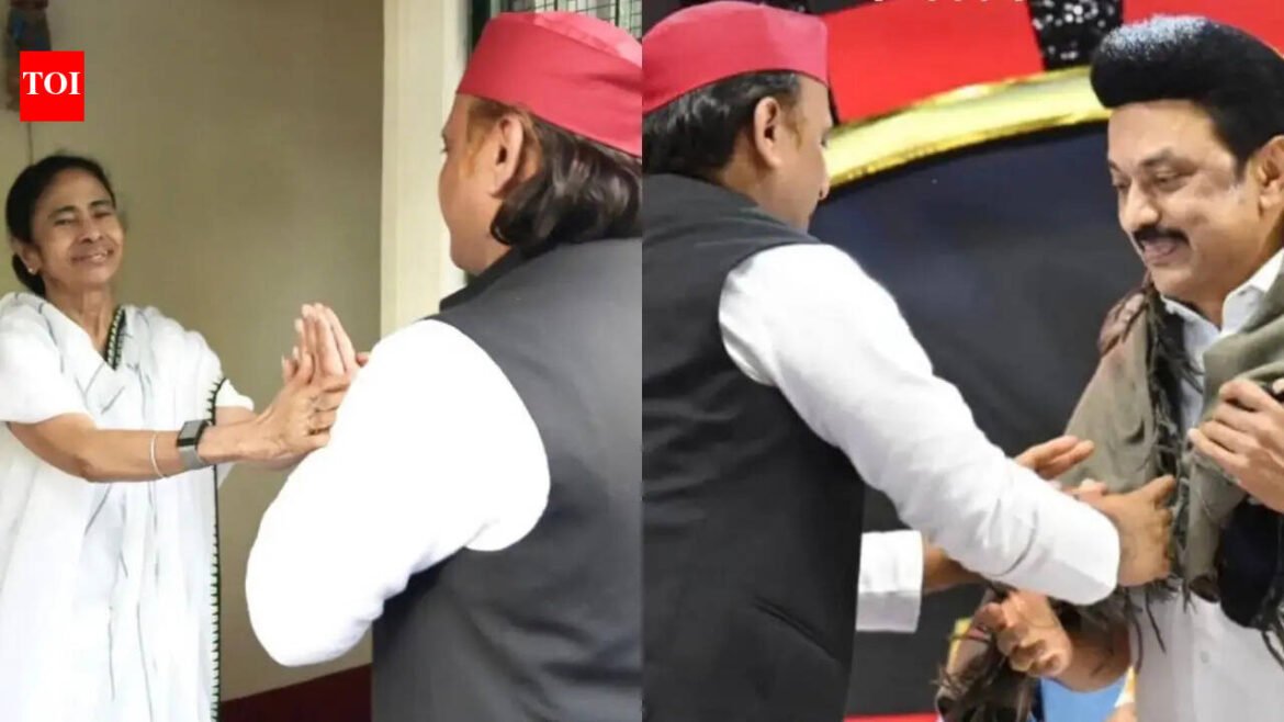 Message for Congress? Akhilesh shares Mamata,...