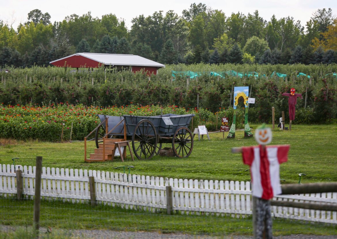 NJ farmers plead for help after April freeze destroyed fruit trees, other crops • New Jersey Monitor