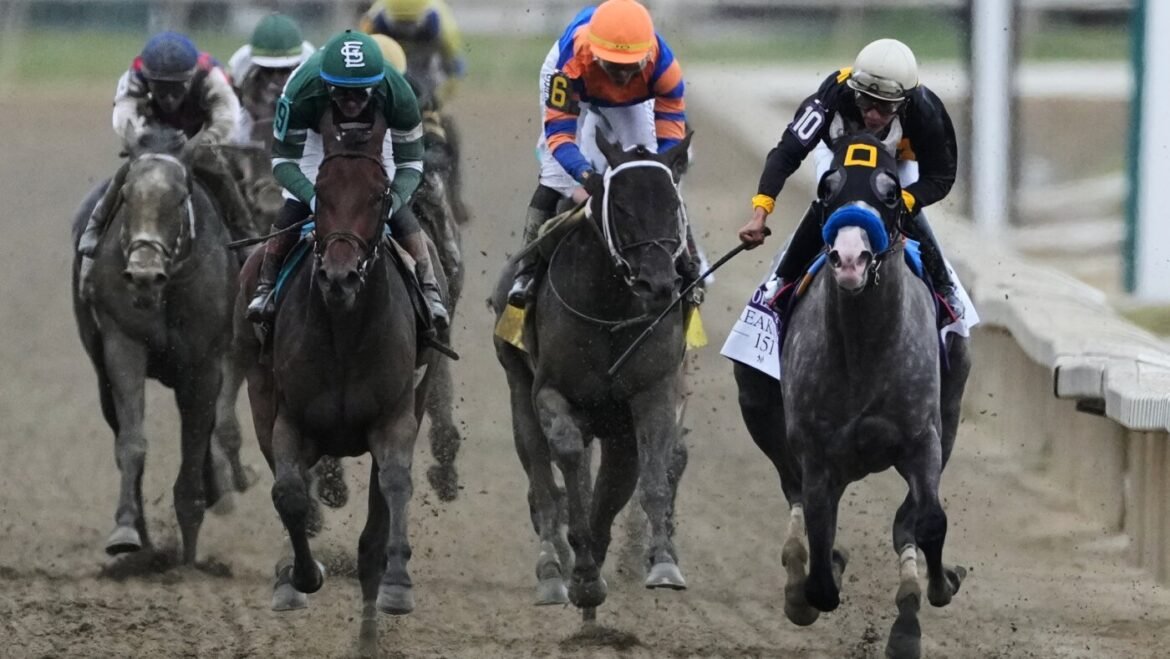 Napoleon Solo wins the Preakness at Laurel Park : NPR