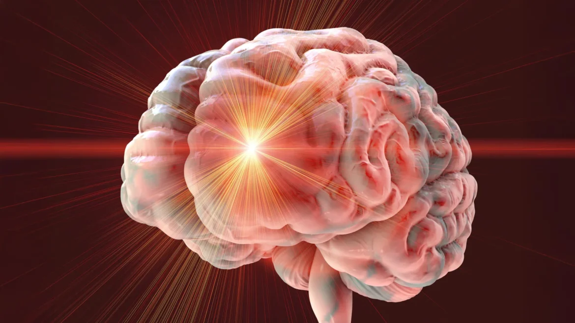 Popular anti-aging drug combo caused severe brain damage in mice