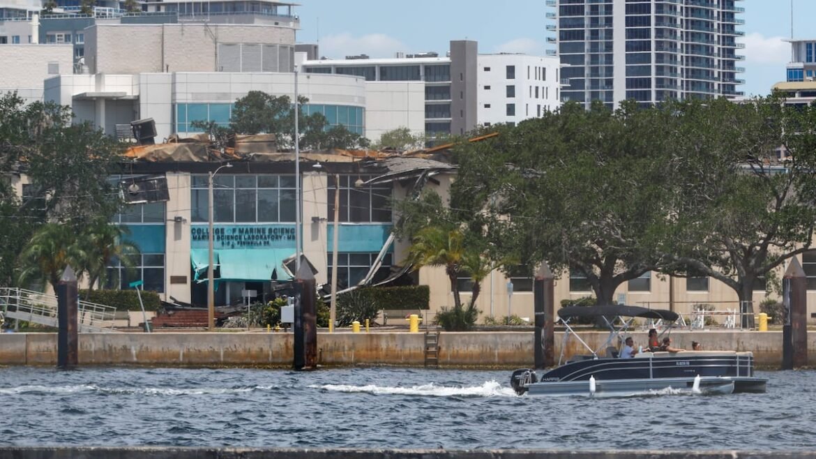 Potentially lost in USF St. Pete fire, irreplaceable marine research
