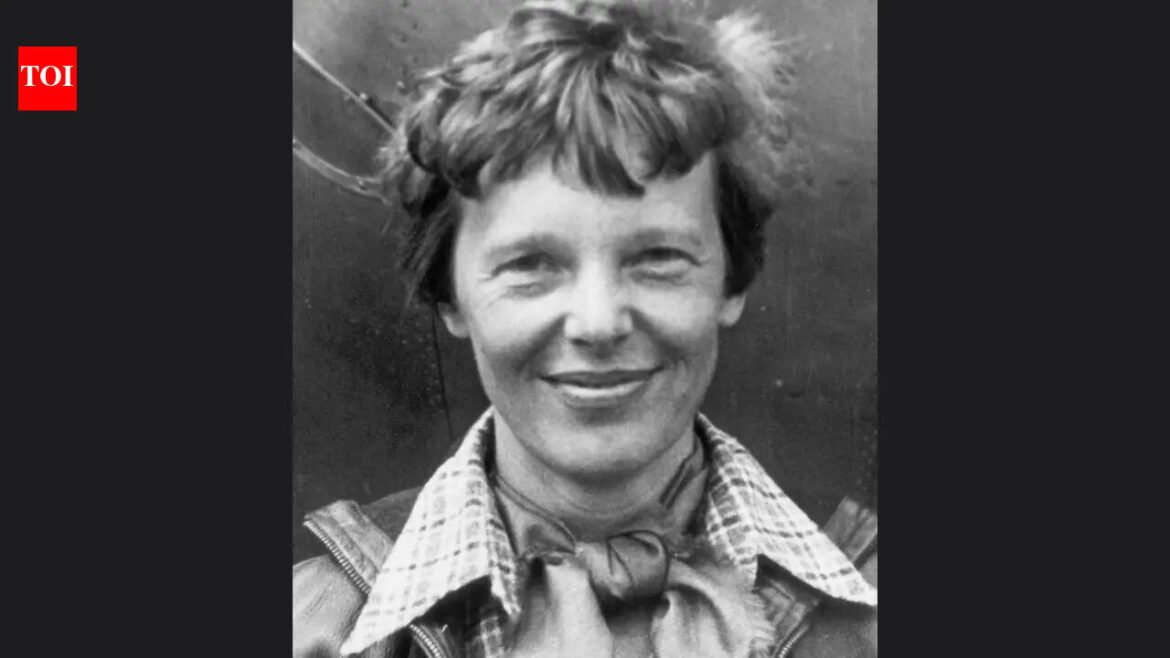 Quote of the day by Amelia Earhart: “Some of us have great runways already built for us. If you have one, take off. But if you don't have one, realize it is your responsibility to grab a shovel and build one for yourself and for those who will follow after you.” | World News