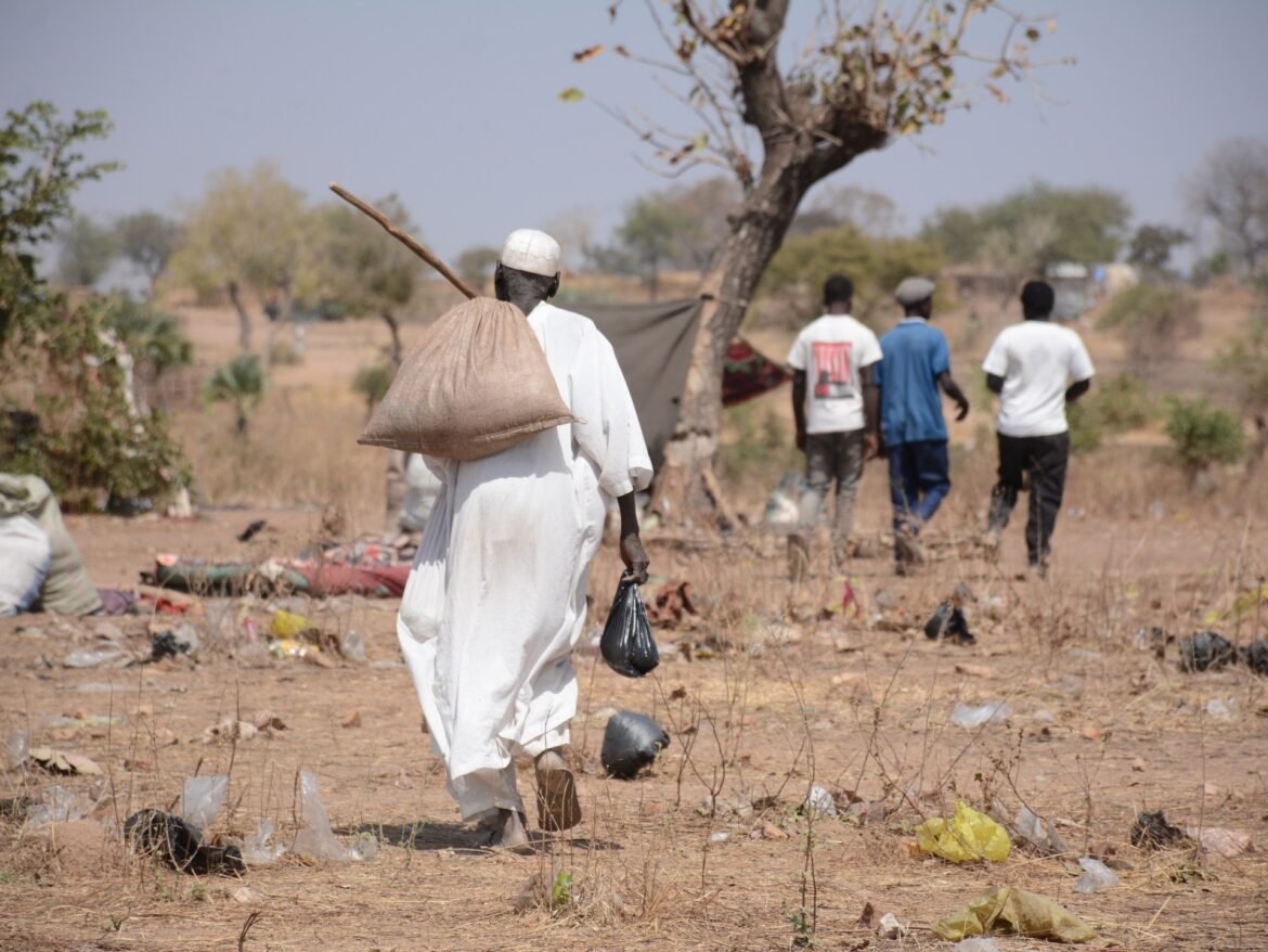 Satellite imagery reveals how Sudan’s war scorched its ‘breadbasket’ | Agriculture News
