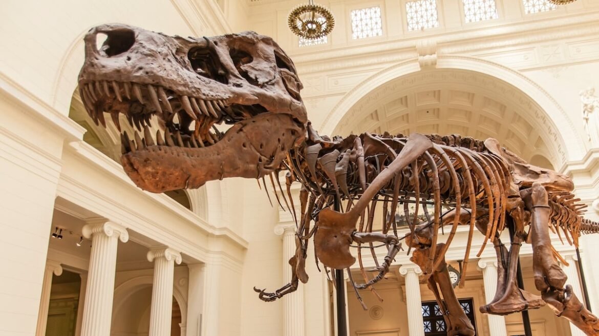 Scientists May Finally Know Why T. Rex Had Such Tiny Arms : ScienceAlert