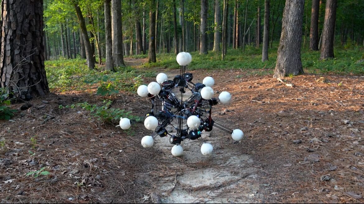 A 20-legged robot rolls down a dirt path in the woods.