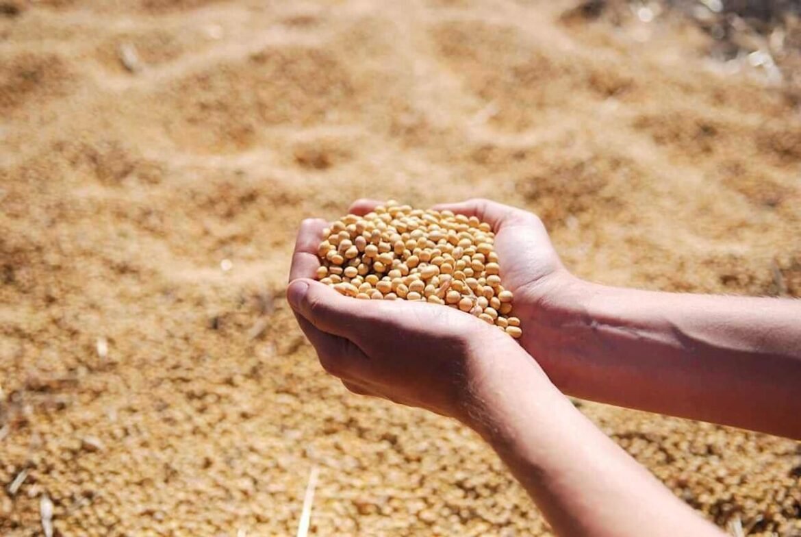 Soybeans Rounds Out the Week with Strength