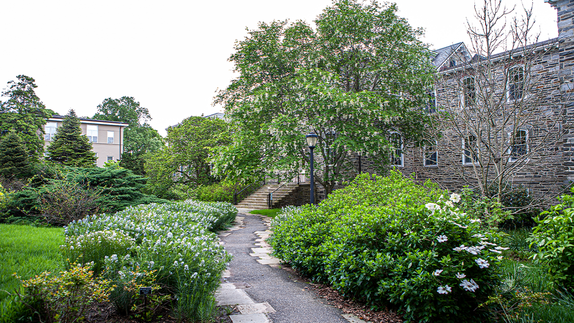 Swarthmore College removes professor's name over burial site scandal