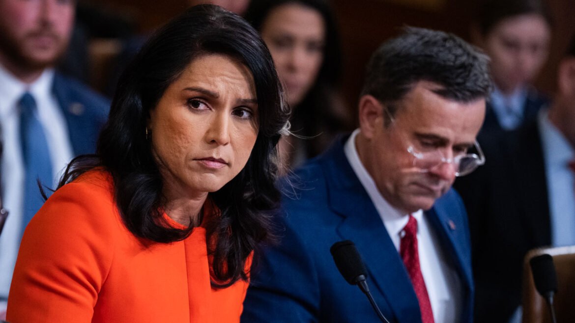 Tulsi Gabbard and John Ratcliffe speak to members of Congress in a hearing.