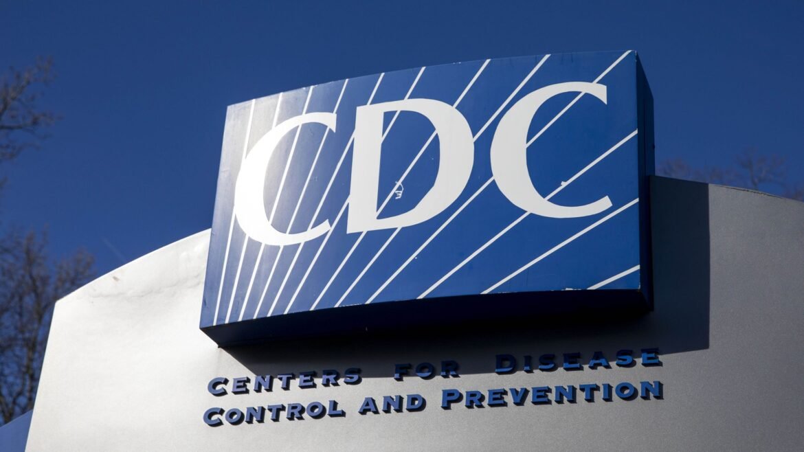 The CDC has taken a back seat in the global hantavirus response — and that could be a problem in future outbreaks, epidemiologist says