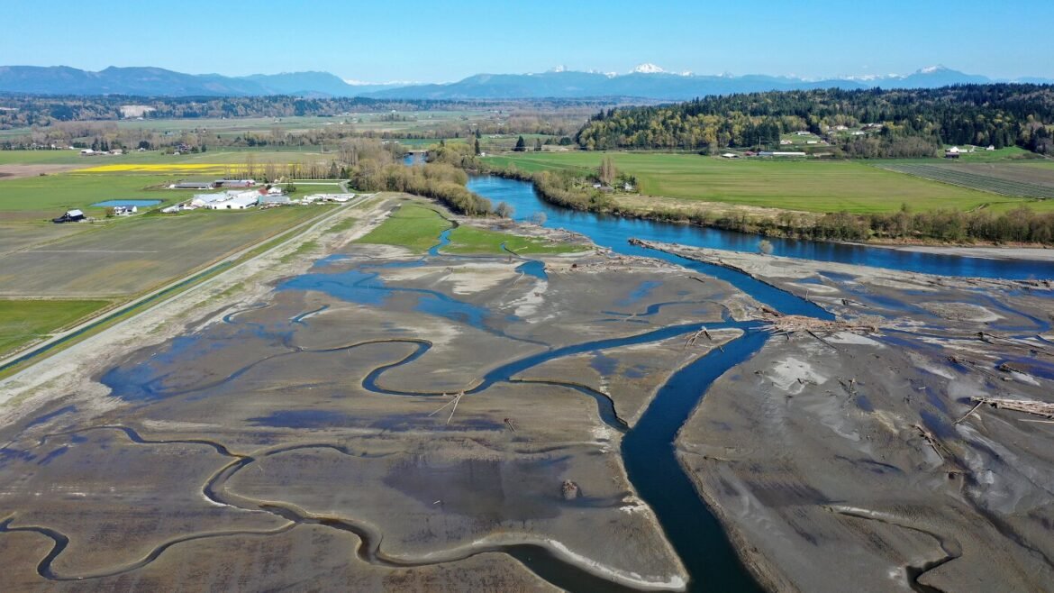 To save salmon, a tribe near Seattle is flooding farmland : NPR