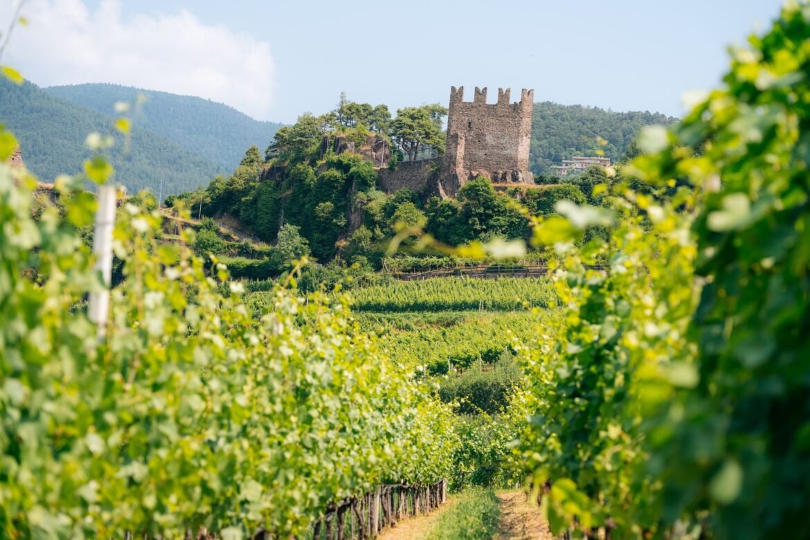 Trentino emerges: A whole new world to discover in the Dolomites