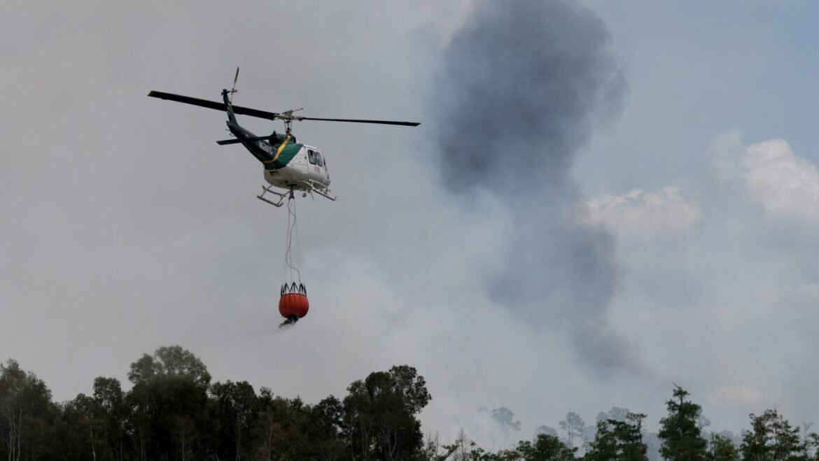 Trump administration’s new wildfire agency preps for fire season : NPR