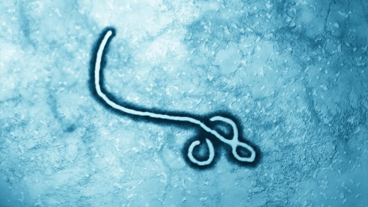 U.S. taps small biotech for experimental Ebola treatment