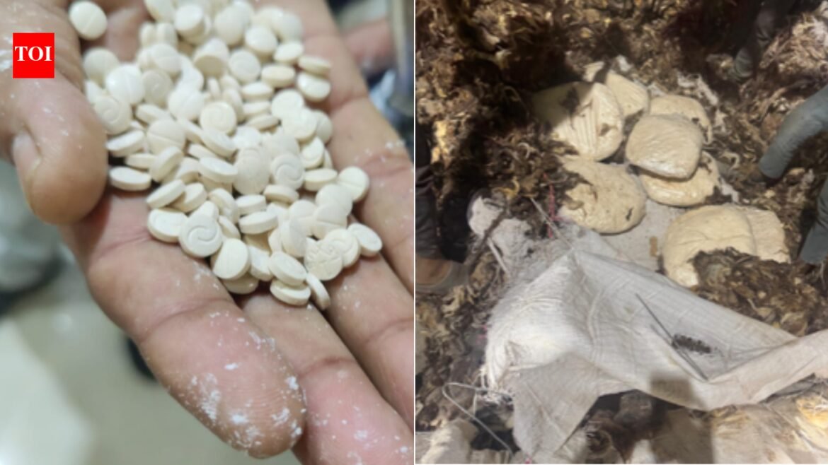 What's 'jihadi drug'? Rs 182 crore Captagon seized...