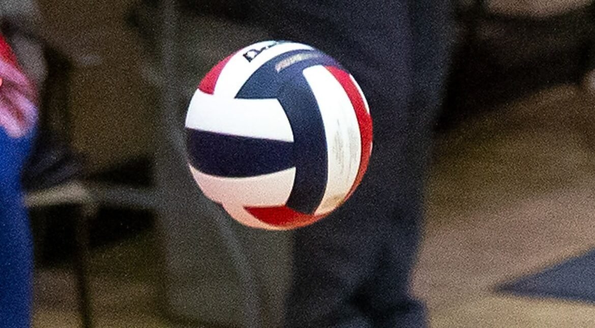 Boys volleyball spicon
