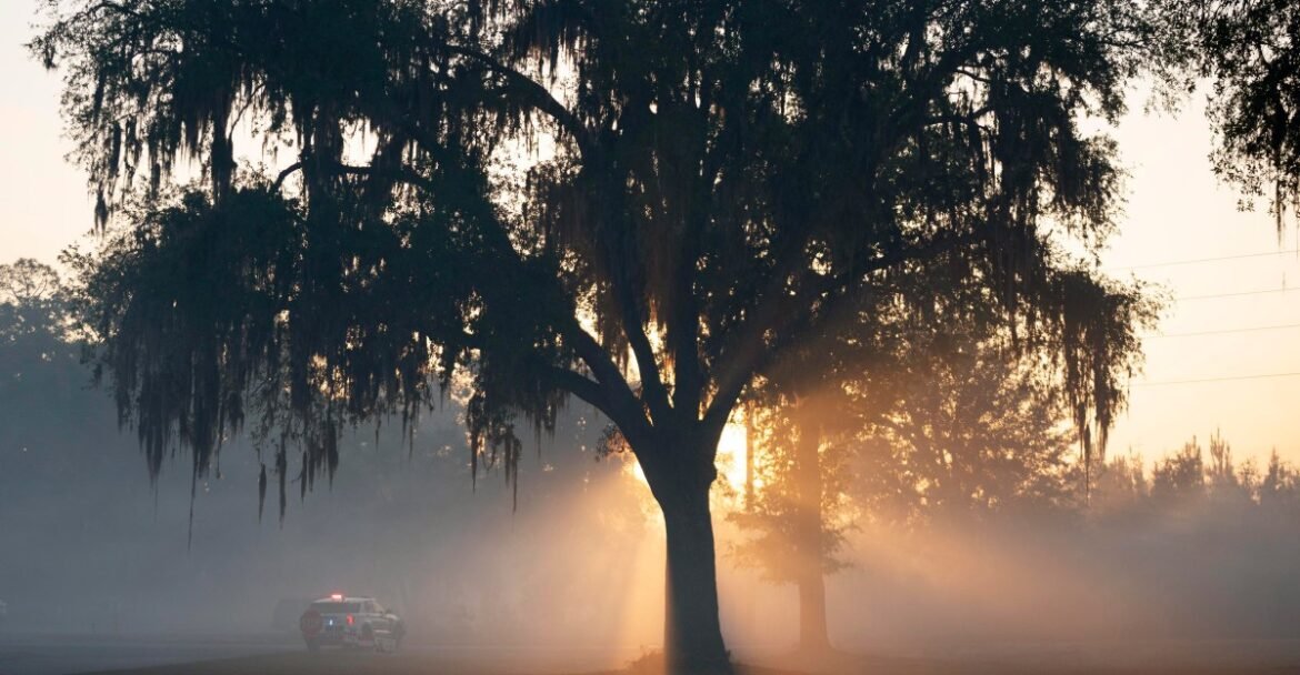 Why the American Southeast is becoming a new hotspot for wildfires
