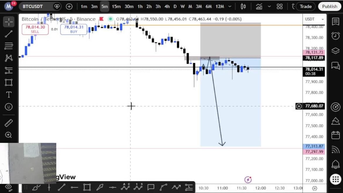 egct trader Live Stream