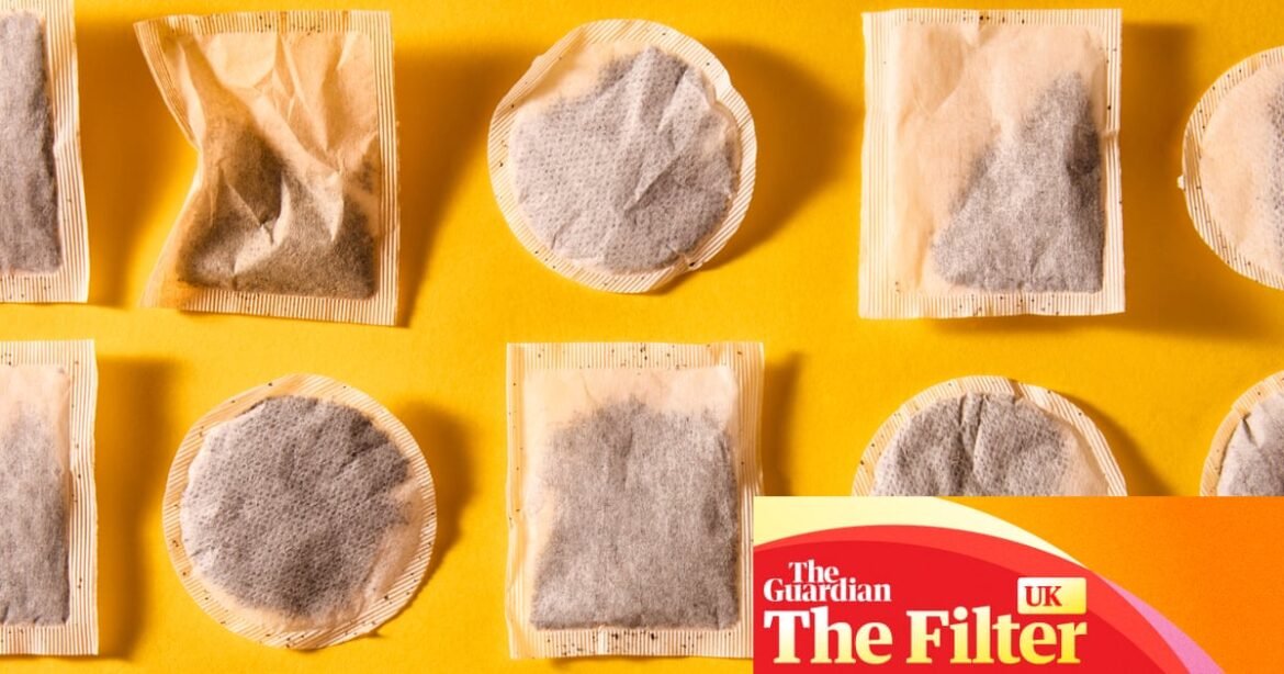 ‘Dull and musty’: the best (and worst) supermarket breakfast teabags, tasted and rated | Tea