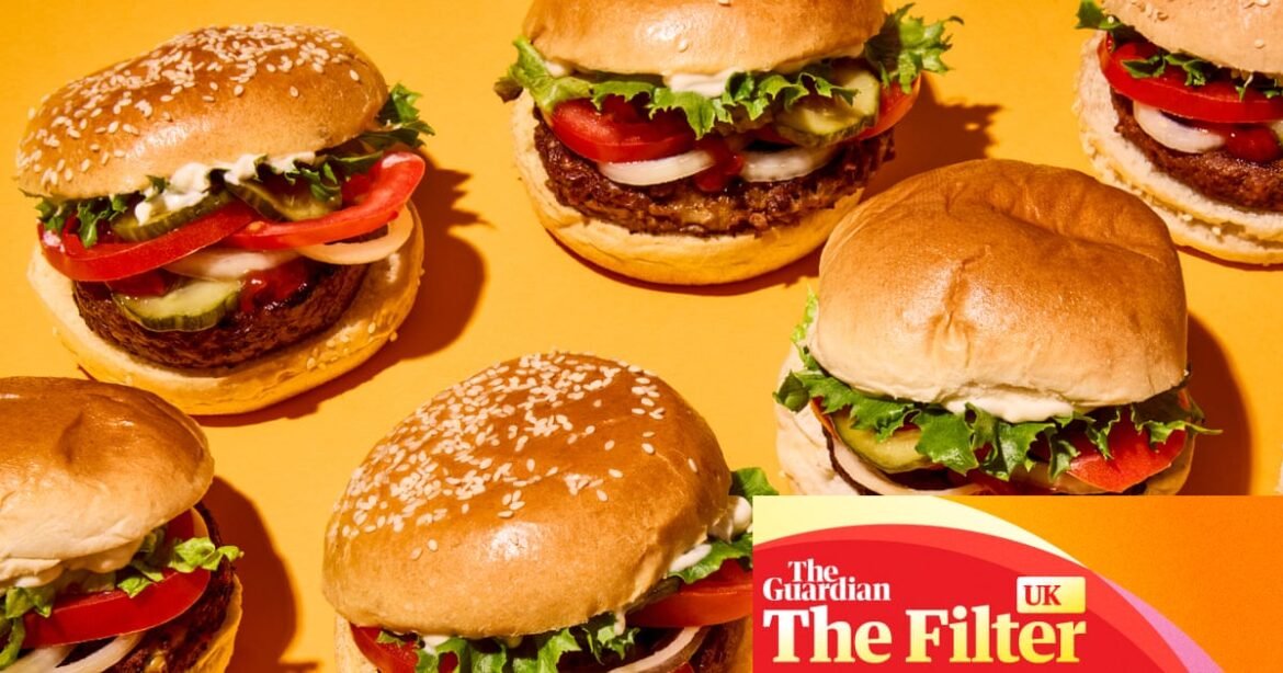 ‘Smoky, rich and umami-filled’: the best supermarket veggie burgers, tasted and rated | Vegetarian food and drink